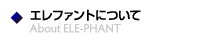 エレファントについて
