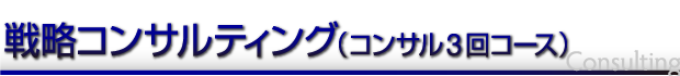 戦略コンサルティング(コンサル3回コース)