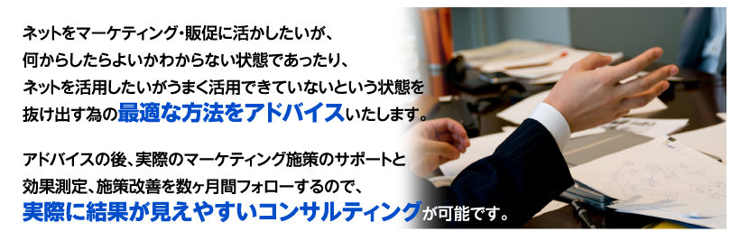 定期コンサルの概要